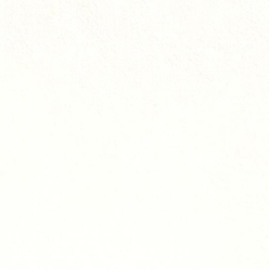Blanco Antártico A-5006 Textura