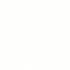 Blanco Antártico A-5006 Textura