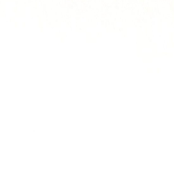 Blanco Antártico A-5007 Brillante